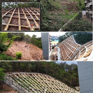 建筑设计及加固施工服务